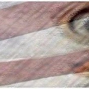 May include: A close-up of an American flag with a blurred image of an eagle superimposed over it. The eagle's eye is visible in the center of the image.