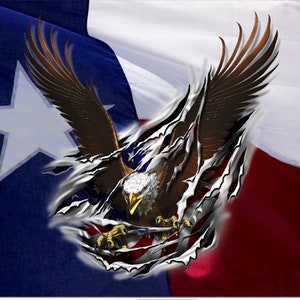 Texas flag eagle rip car truck hood wrap vinyl graphic decal