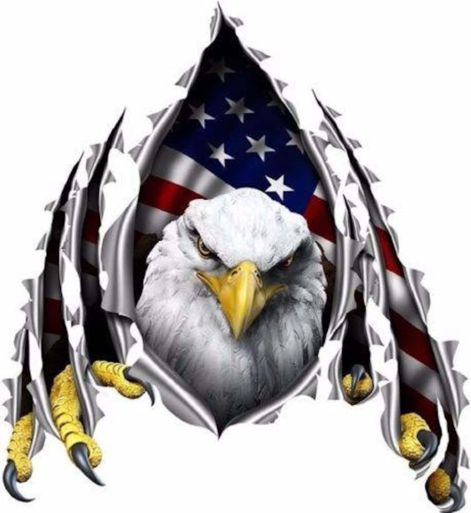 American Flag Eagle Rip Decal Camper RV Motor Home Mural Graphic - Etsy