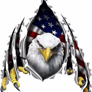 May include: A bald eagle with its head and neck peeking out from behind a torn American flag. The eagle's eyes are open and its beak is closed. The flag is red, white, and blue with stars on the blue field.