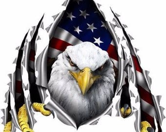 American Flag Attack Eagle Head Graphic Mural Decal Sticker American Flag Attack Eagle Head Graphic Mural Decal Sticker