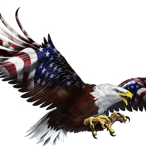 American flag soaring bald eagle camper RV motor home mural tailgate hood golf cart vinyl graphic decal sticker