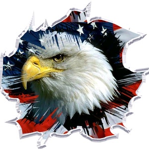 American flag ripped eagle race car go kart golf cart motorcycle hood window tool box trailer semi vinyl graphic decal sticker