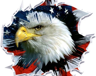 American flag ripped eagle race car go kart golf cart motorcycle hood window tool box trailer semi vinyl graphic decal sticker