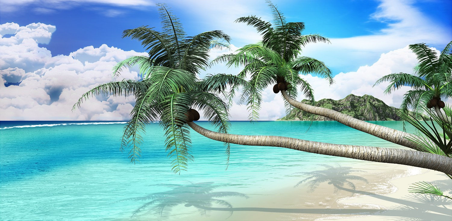 Tropical Palm Tree Scene Decal Mural - For Camper, RV, Motorhome, Or Wall