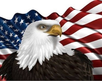 American flag bald eagle camper RV motor home mural vinyl graphic decal sticker