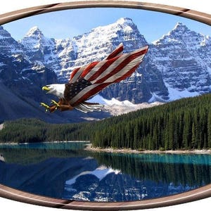 American flag  bald eagle rockymountains oval camper RV motor home mural vinyl graphic decal sticker