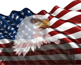 American flag transparent bald eagle camper RV motor home mural vinyl graphic decal sticker