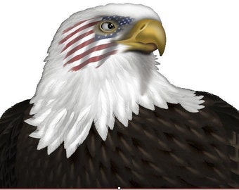 May include: A bald eagle with white feathers and a black body. The eagle's eye is covered with an American flag.