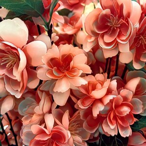 May include: A close-up of a bouquet of peach-colored artificial flowers. The flowers have multiple layers of petals and are arranged in a cluster.