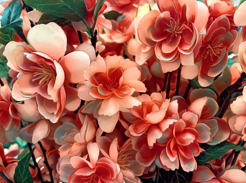 May include: A close-up of a bouquet of peach-colored artificial flowers. The flowers have multiple layers of petals and are arranged in a cluster.