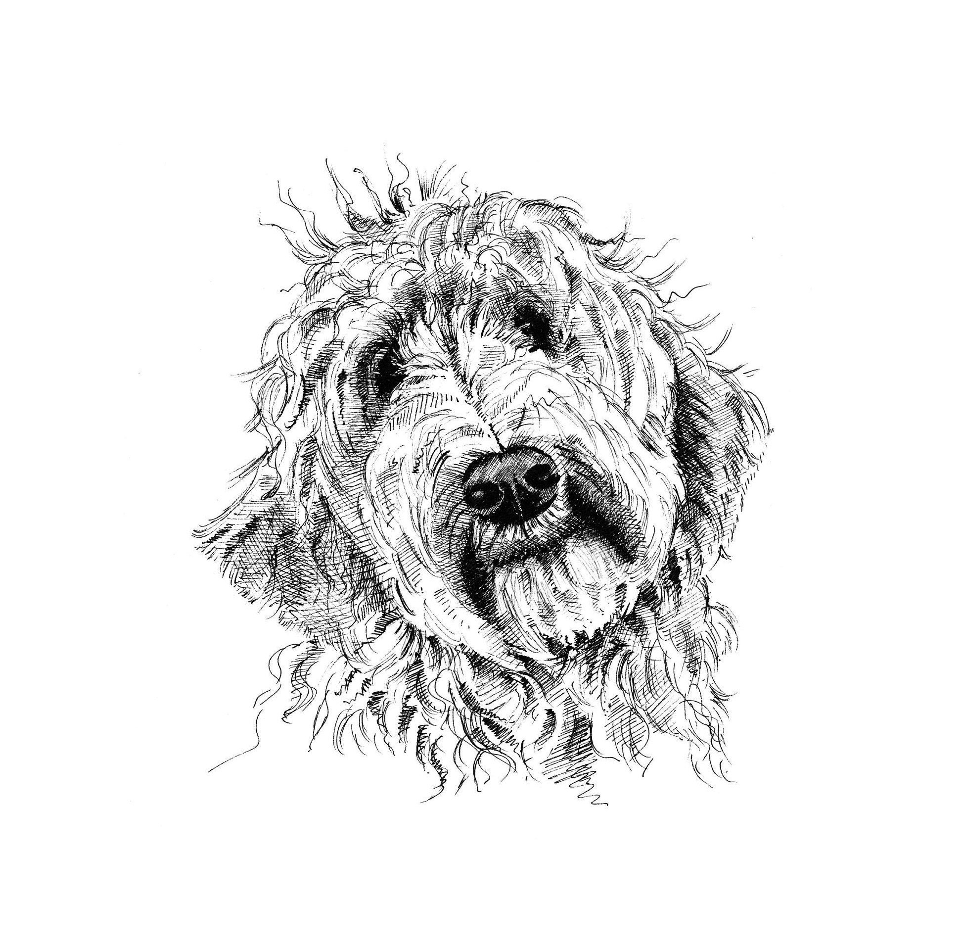 Labradoodle Print Labradoodle Wall Art Goldendoodle Print Etsy