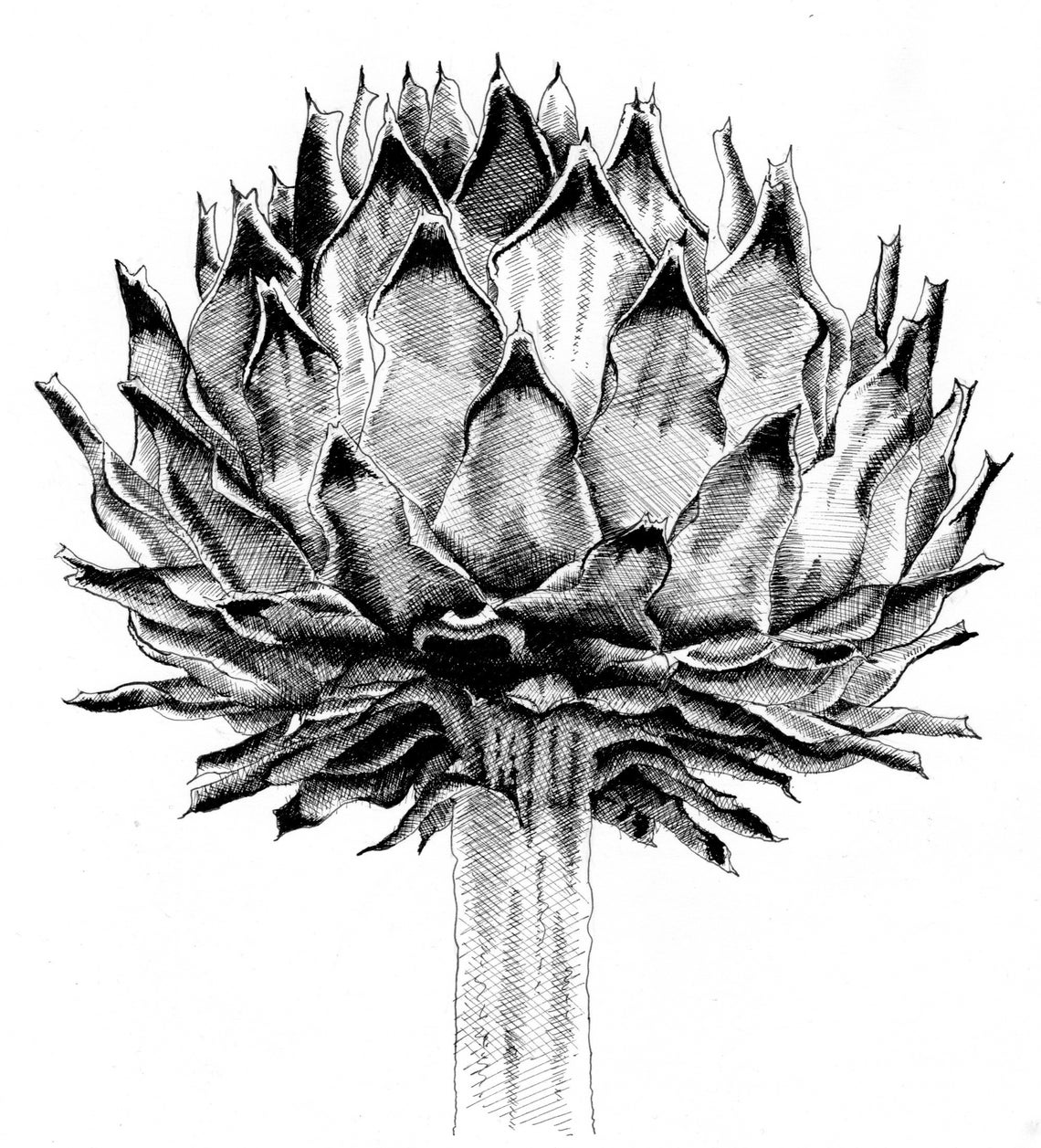 Artichoke print artichoke wall art artichoke decor kitchen Etsy