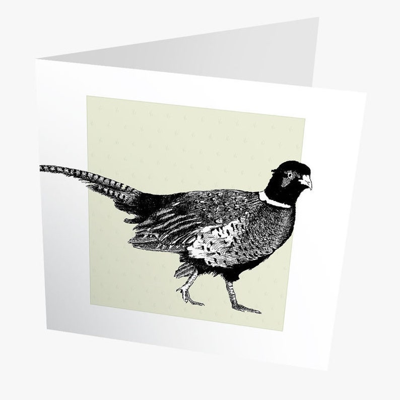 Pheasants Animal Magic Square Art Greeting Card Blank Inside Any Occasion