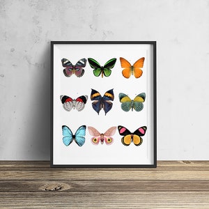 Watercolor Butterfly Print: Insect Wall Art (Digital Download)