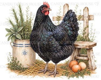 Zwarte hen PNG, Boerderijkip PNG, Rustieke kip aquarel clipart, Landelijk boerderijontwerp sublimatie, Kip digitale download