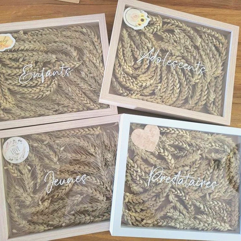 May include: Four framed shadow boxes with dried wheat stalks and white text labels. The labels read "Enfants", "Adolescents", "Jeunes", and "Prestataires".
