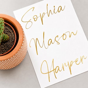 Puede incluir: Una tarjeta rectangular blanca con los nombres Sophia, Mason y Harper impresos en letra cursiva dorada metálica, colocada junto a una maceta de terracota con puntos blancos que contiene un pequeño cactus verde con espinas rojas.