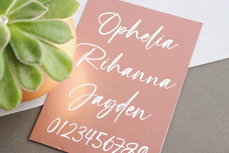 May include: A pink card with the names Ophelia, Rihanna, and Jayden written in white cursive script. The numbers 0123456780 are also written in white below the names.