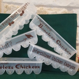 Cute and funny plastic egg carton -- holds one dozen eggs