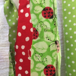 May include: A close-up of a fabric banner with strips of white, green with white polka dots, red with white polka dots, green with ladybugs and leaves, and green with white polka dots.