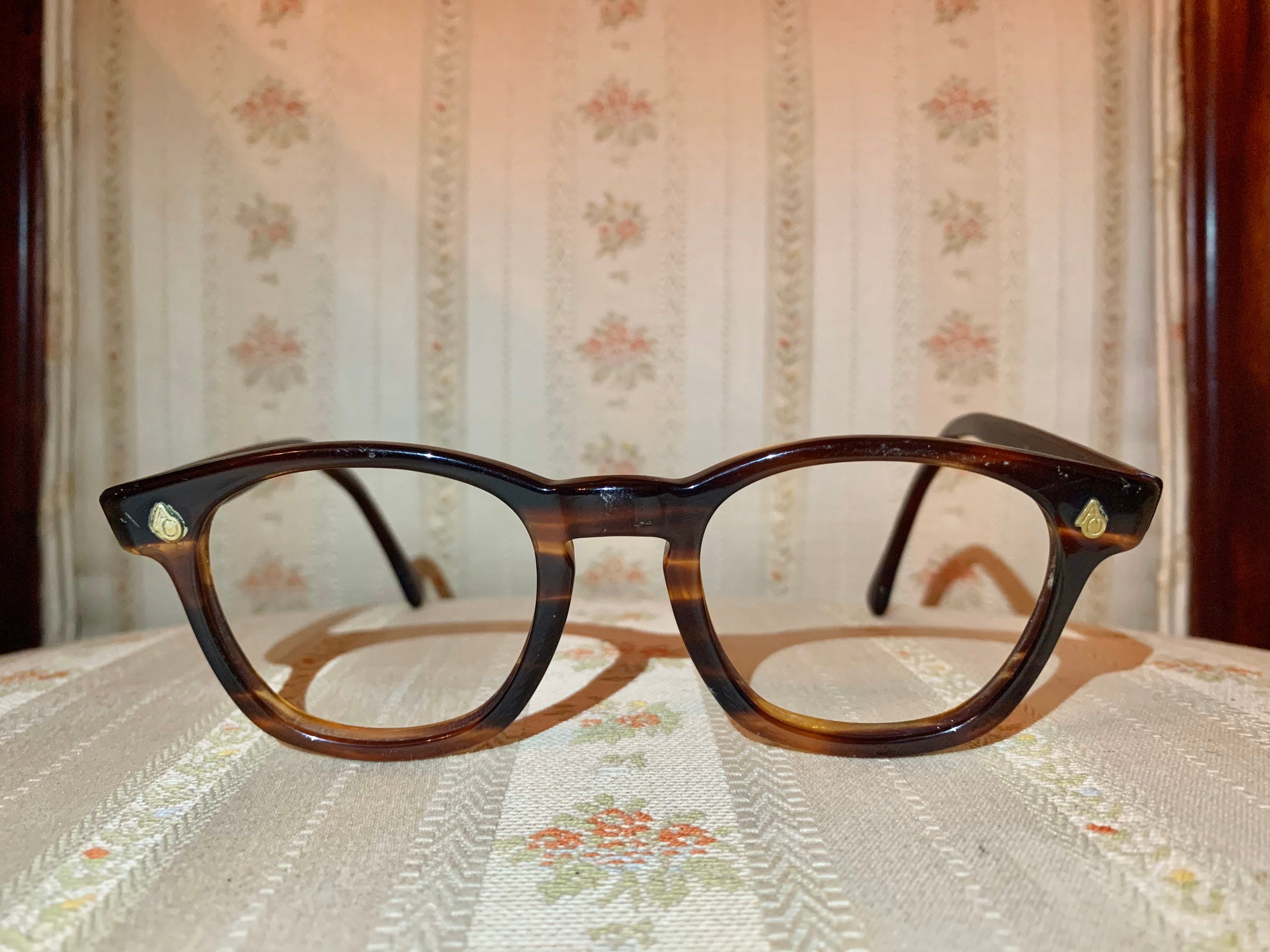 Vintage 1960s American Optical Tortoise Shell Wayfarer Framesglasses 