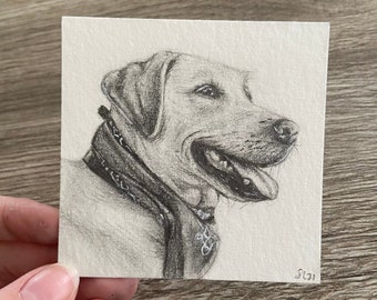 Custom Black and White Charcoal Pencil Pet Drawing