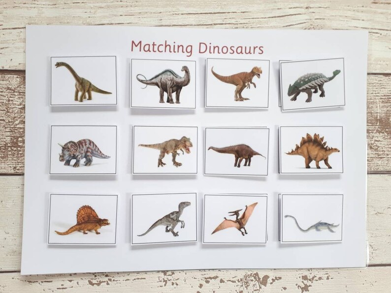 dinosaur matching activity matching game game for toddlers etsy
