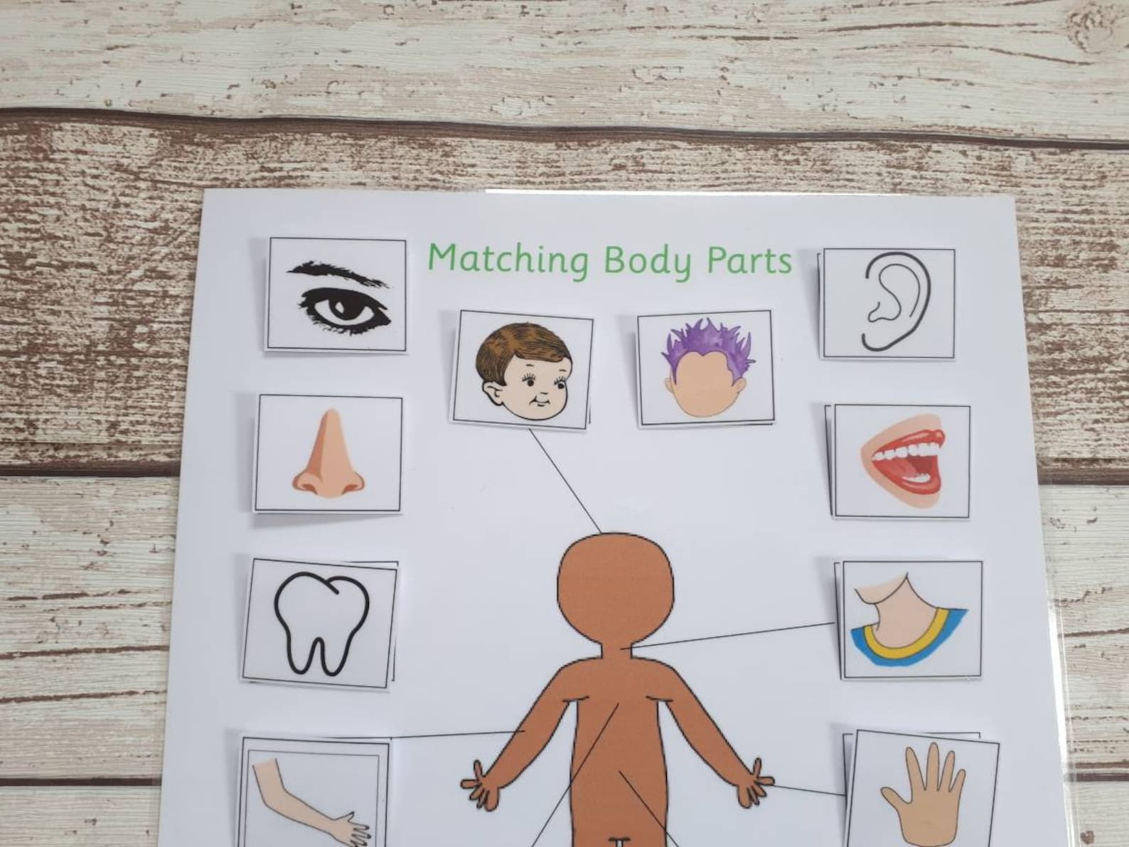 Body parts matching game activity for toddlers learn body Etsy