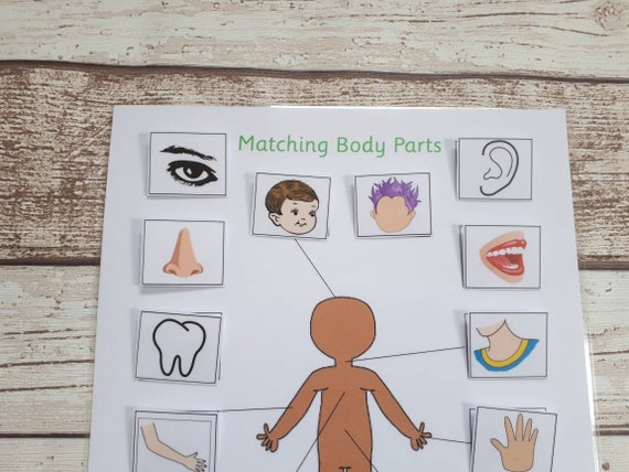 Body Parts Matching Game Activity For Toddlers Learn Body Etsy