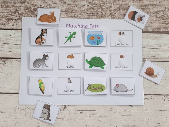 Pets matching game game for toddlers early years matching | Etsy