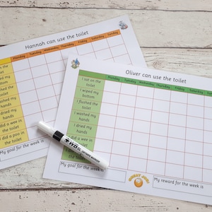 Toilet Training Chart, personalised toilet chart, reward chart, daily record, behaviour chart, use the toilet chart, early years, nursery