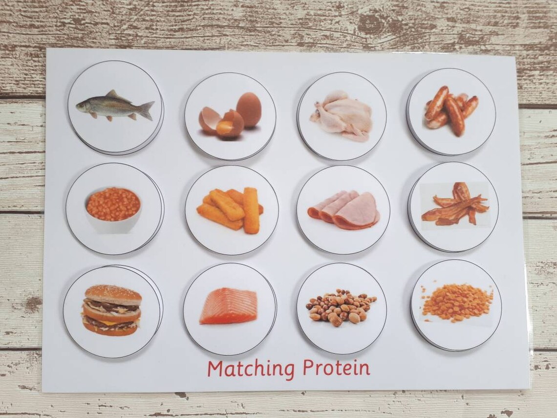 Food groups matching game Montessori activities for toddlers | Etsy