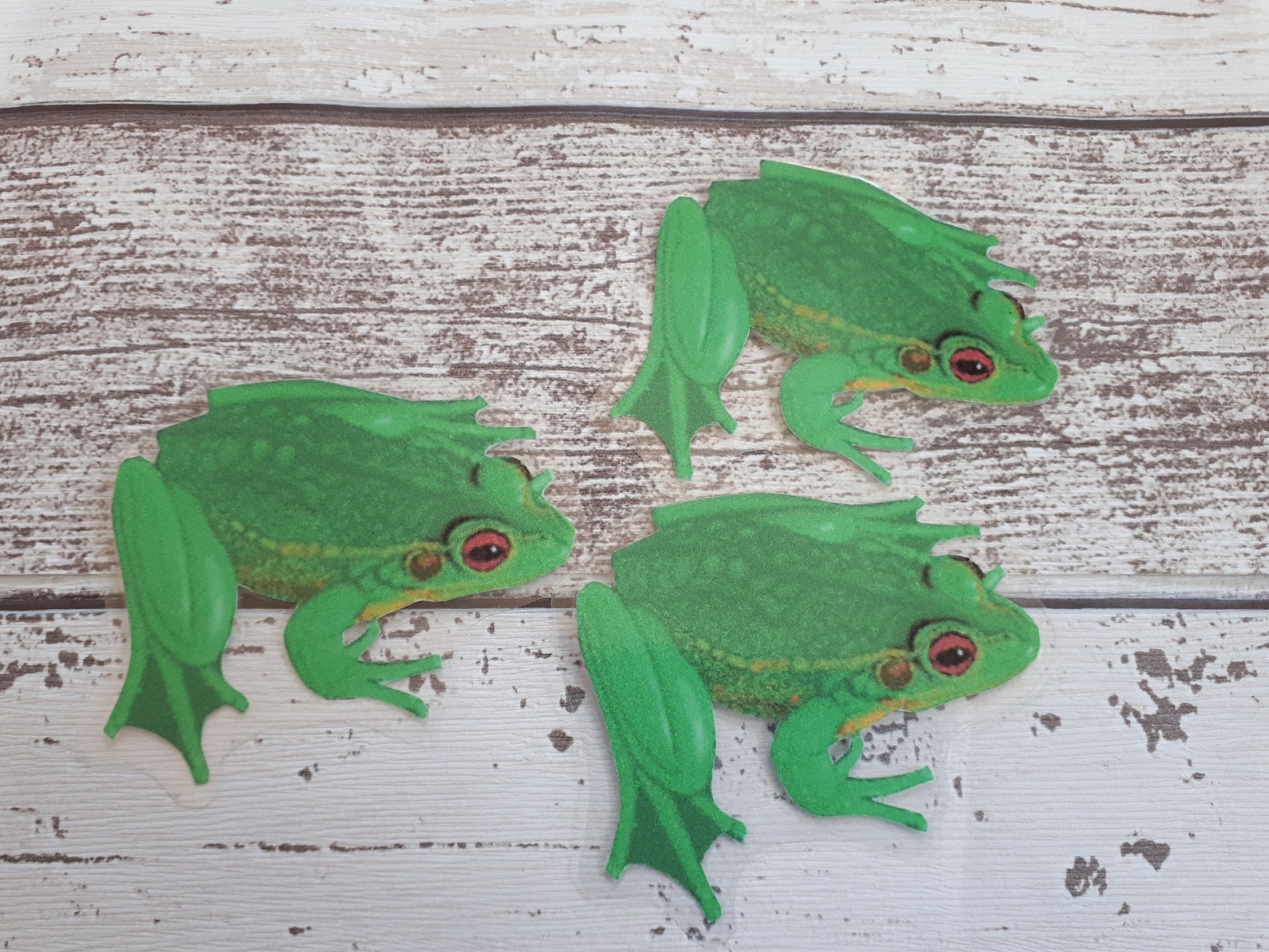 5 Little Speckled Frogs Counting Song Maths Educational - Etsy UK