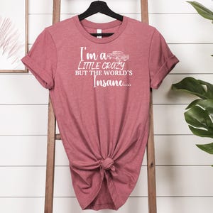 May include: A maroon t-shirt with the text "I'm a little crazy but the world's insane..." in white. The shirt is hanging on a black hanger against a white-panelled wall. A wooden ladder and green leaves are also visible.