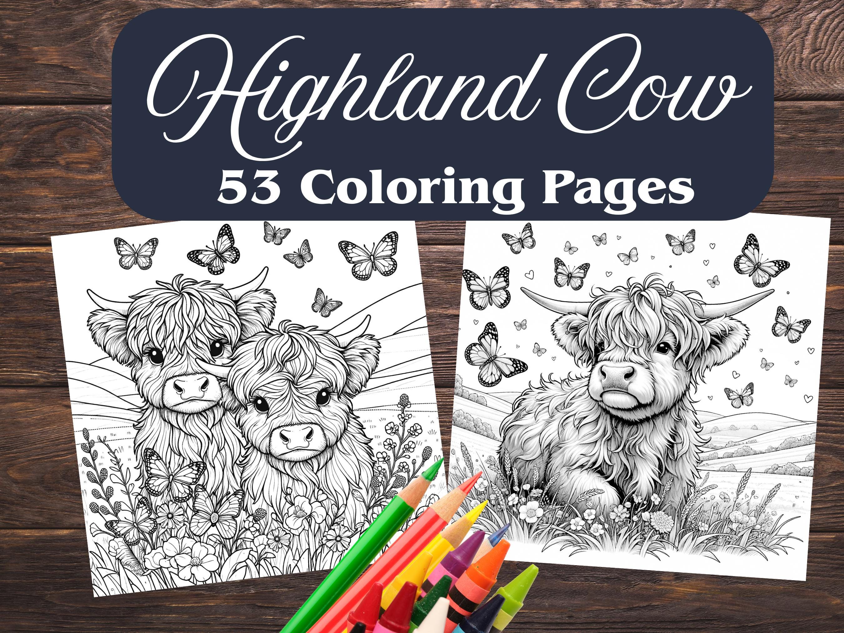 Highland Cow Coloring Pages, 53 Designs (digital Download) - Etsy