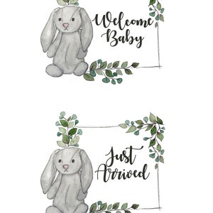 Cartão mensal do bebê para impressão, coelho, aquarela, folhas, quadro, presente de chá, gênero neutro para bebê