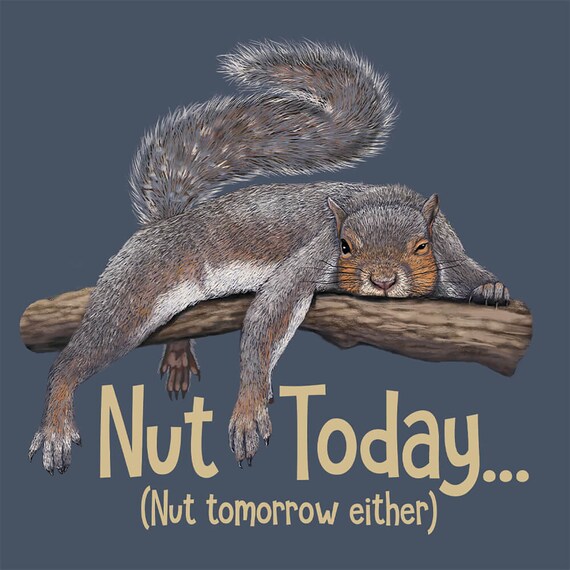 Funny Squirrel Nut Today Squirrels Animal Lover T-Shirt Funny Squirrel Nut Today Squirrels Animal Lover T-Shirt