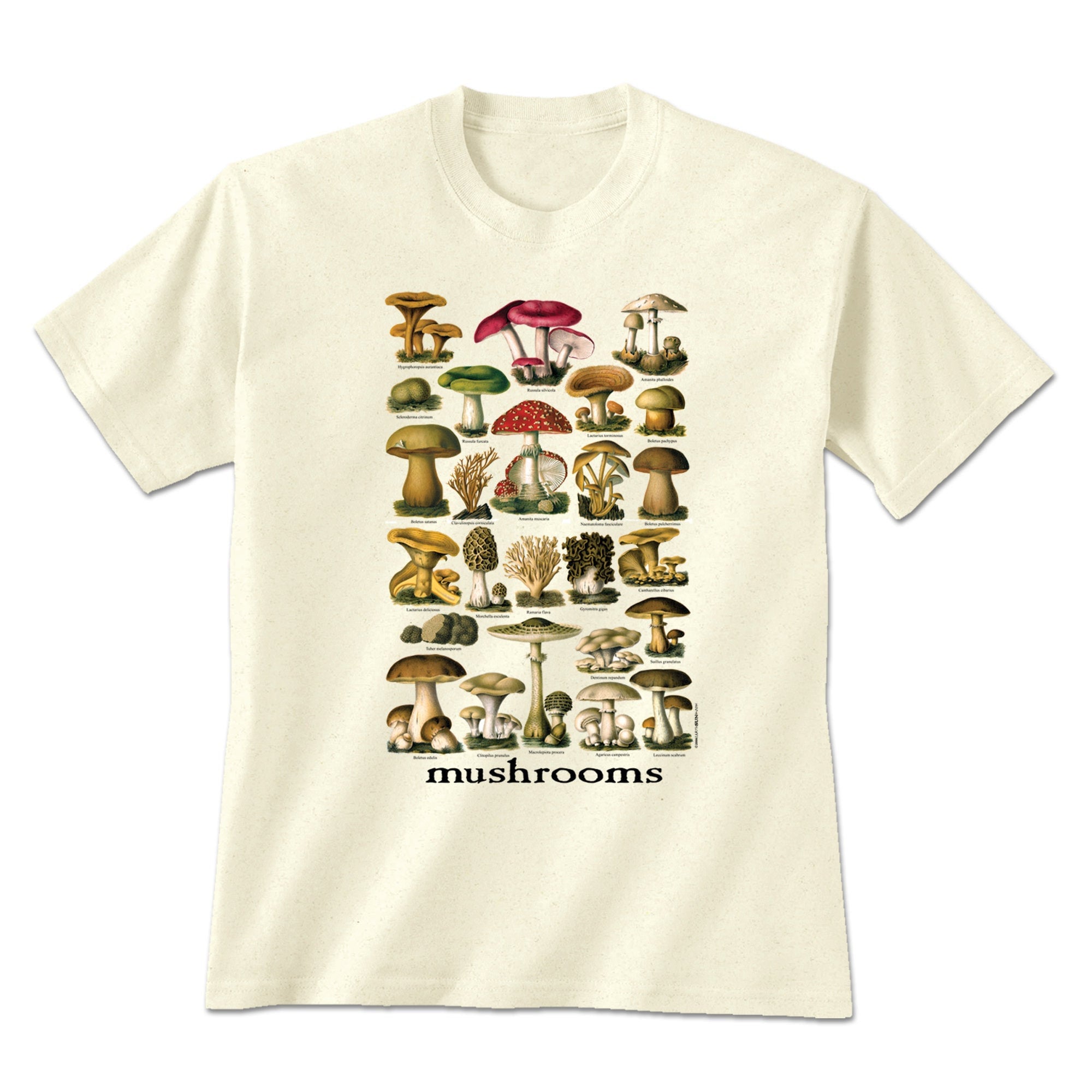 Vintage Mushrooms Shirt Graphic Tshirt Mushrooms Etsy UK
