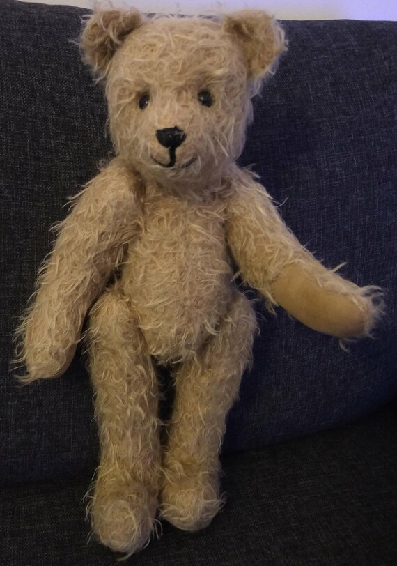 a cute teddy bear