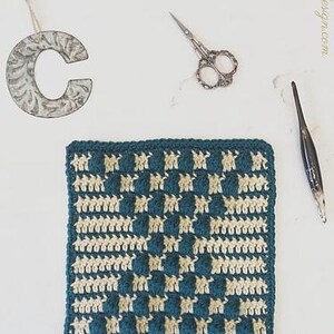 以下が含まれることがあります： ターコイズブルーとクリーム色のチェック柄の正方形の編み物。正方形はシングルクロッシェで編まれており、質感があります。