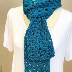 Crochet Pattern Liguria Scarf One Skein Scarf Women's Fashion Scarf Beautiful Warm Scarf Easy to Wear Scarf Crochet Scarf Pattern image 4