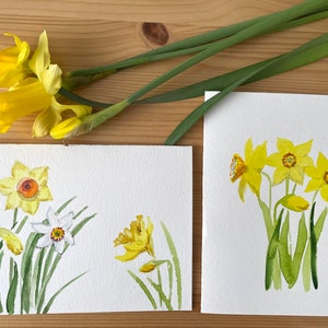 Carte jonquille/aquarelle peinte à la main/carte Narcisse/Carte originale faite main/Carte d'art originale jonquille/Cadeau en papier/Pâques/Carte de fête des mères