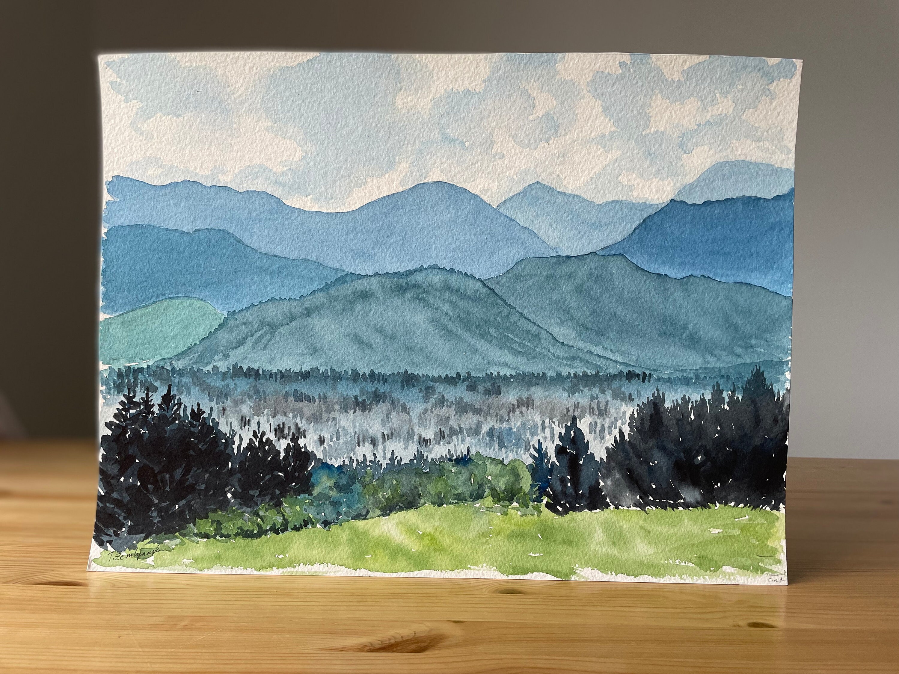 Original Watercolour Mountain Painting: British Columbia Landscape