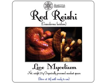 Red Reishi | Mushroom grow kit with Amicitia Support | Mycelium | DIY Kit | Permaculture | Mushroom spawn | Mushroom kit | Mushrooms