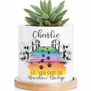May include: White ceramic planter with a succulent plant. The planter features a bridge design with a rainbow background and paw prints. The text "Charlie" and "See You Over the Rainbow Bridge" are also visible. The planter sits on a round wooden base.
