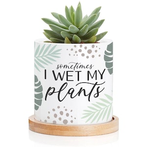 May include: White ceramic plant pot with the text "sometimes I WET MY plants" and a succulent plant. The pot has a wooden base and is decorated with green leaf and dot patterns.