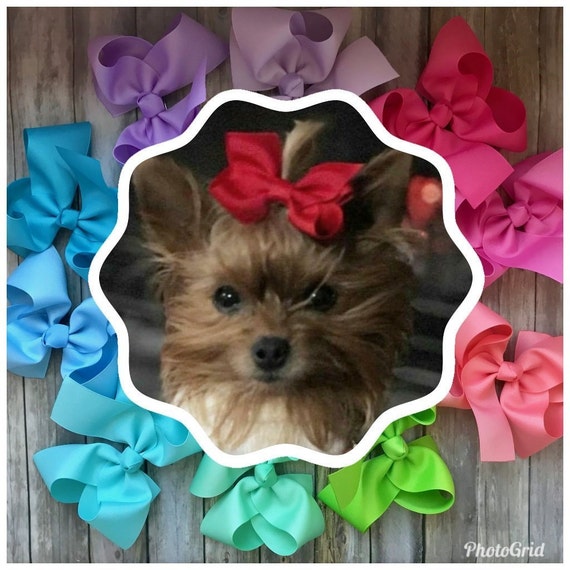 puppy bows