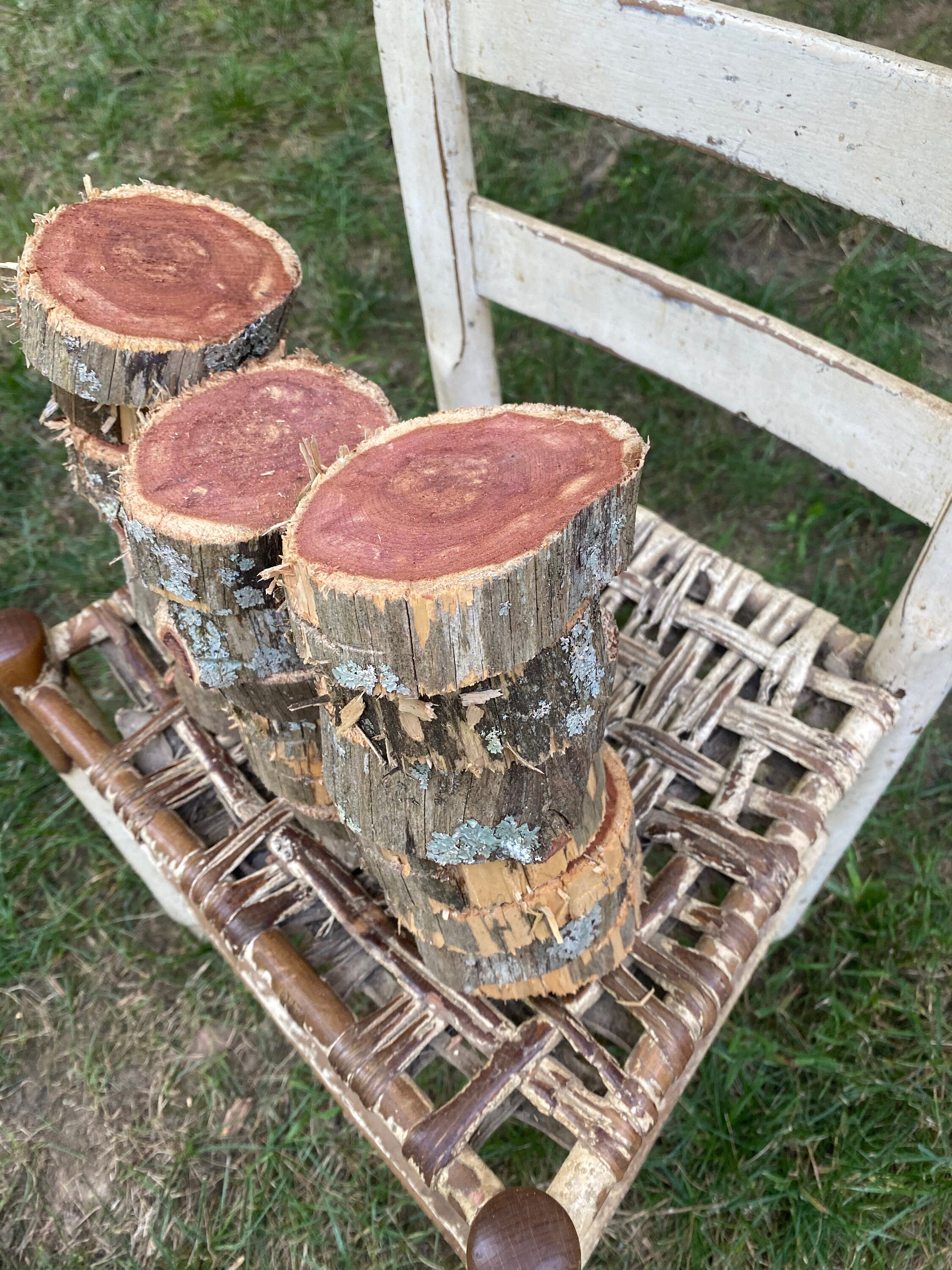 Cedar wood slices set of 20 wood coasters diy wood project Etsy