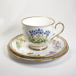 英国製  WORCESTER.. English Garden ❁* Royal Worcester 